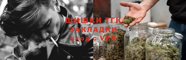 ГАЛЛЮЦИНОГЕННЫЕ ГРИБЫ Балахна