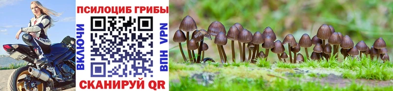 Псилоцибиновые грибы мухоморы  купить   Семикаракорск 